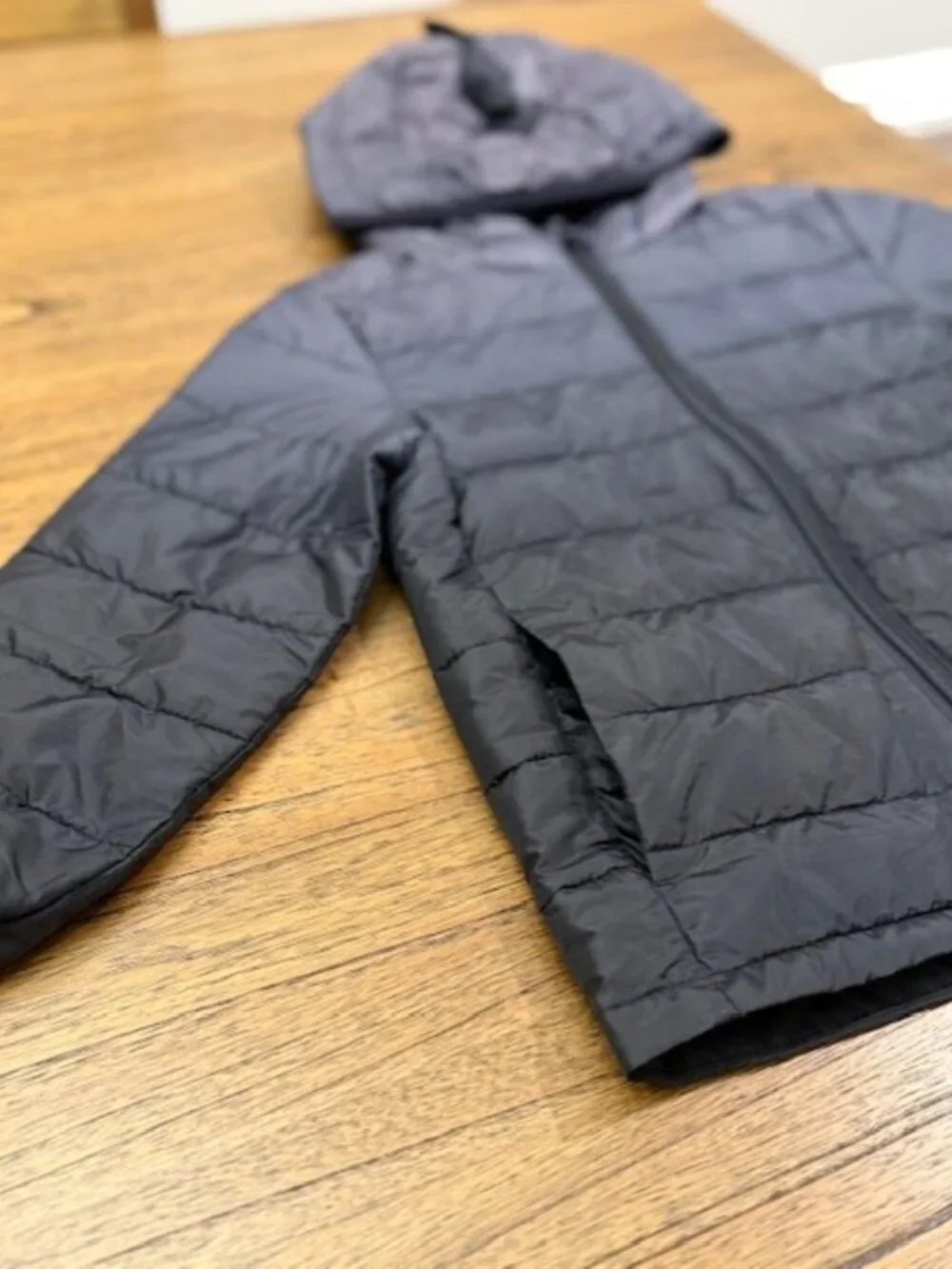 BABY GAP Toddler Dinosaur Puffer Jacket